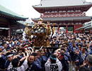 asakusa sanja matsuri festival mikoshi