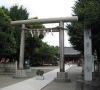 asakusa jinja shrine