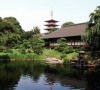 denbouin temple garden