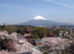 Mt.Fuji and Sengen Taisha Shrine