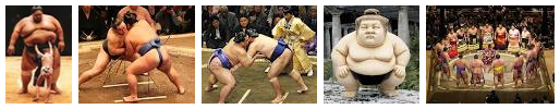 sumo in tokyo