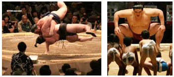 sumo in tokyo